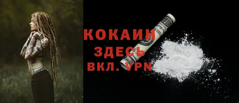 купить   Жуковка  Cocaine Fish Scale 